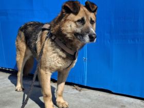 Halvar sucht einen sicheren Ort zum Vertrauen fassen und Ankommen!