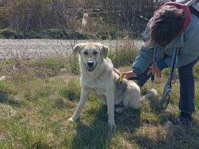 Nuri sehnt sich nach einer Familie!