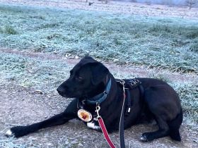 Verliebst du dich in Rajani?