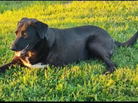 Verliebst du dich in Rajani?