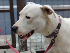 Einzigartige Evita sucht ihre Familie