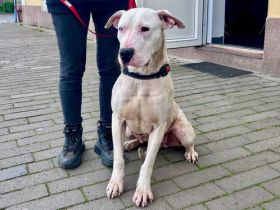 Einzigartige Evita sucht ihre Familie