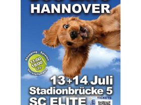 Dog Days Hannover