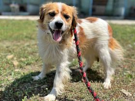 Mary, schüchtern und zurückhaltent