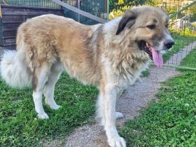 Wer hat ein großes Herz für Twix?