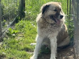 Wer hat ein großes Herz für Twix?