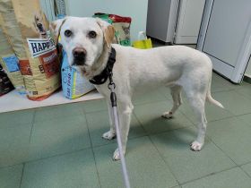 Patrick sucht seine Herzensmenschen❤️