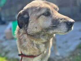 Pauli, freundlich und lieb