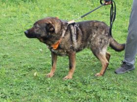 Flauschbär Pablo wünscht sich ein Zuhause