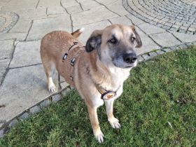 verkuschelte Marysia sucht ihren Heimathafen