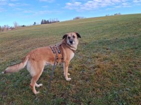 verkuschelte Marysia sucht ihren Heimathafen