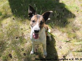 Jaro 50cm 2016 geboren