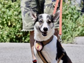 Unsere starke Kämpferin Salali