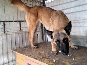 Nevada hat eine Chance verdient