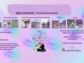 Mobiles Hundetraining in Neu Wulmstorf und Umgebung
