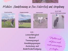 Mobiles Hundetraining in Neu Wulmstorf und Umgebung