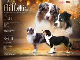 Wurfankündigung Herbst 2024