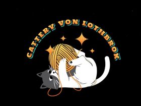 Cattery Von Lothbrok