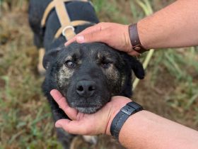 Dieter sucht sein Glück