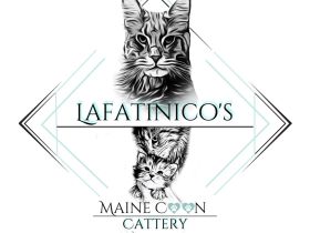 Lafatinico’s