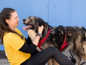 Sabine - offen, fröhlich und wunderhübsch. Adopt. Don´t shop.