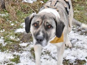 Lässt du Namidas Augen wieder leuchten?