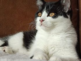 Unsere BKH Rasselbande hat ihre Köfferchen gepackt