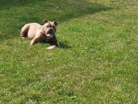 Kuschelige OEB sucht