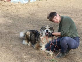 Flauschbär Joker suchht ein Zuhause