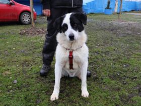 Hier kommt der menschenbezogene Miles!