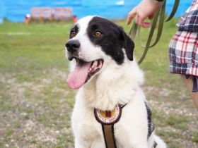 Hier kommt der menschenbezogene Miles!