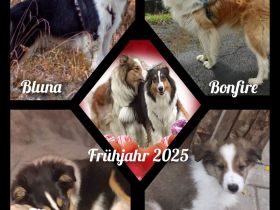 American Angel of Golden Paradise