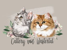 Cattery vom Wästertal