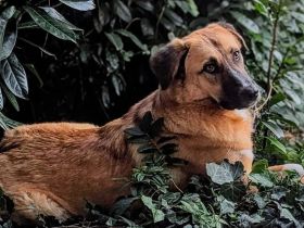 Die tolle Fiona ist bereit für ein Leben! Mit dir?