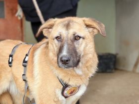 Die tolle Fiona ist bereit für ein Leben! Mit dir?