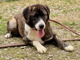 Hallo, ich bin Pretty Woman und suche ein Zuhause.