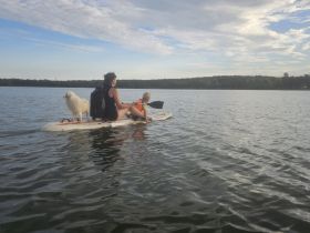 Familienhund, Reitbegleithund *Welpen*