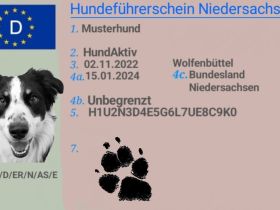 Hundehaltersachkunde Hundeführerschein