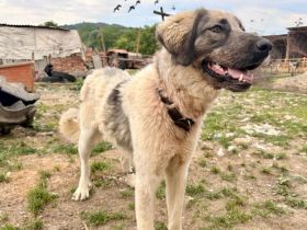 Aufgeschlossene Elly sucht ihre Familie