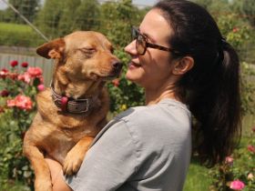 Larry-Bruno ist ein super Familienhund!