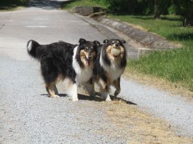 von der Sandsteinvilla