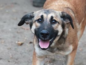 Alani - will alles noch kennenlernen