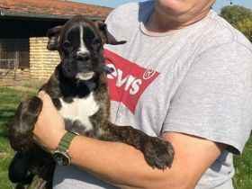 Ein herziges Geschwisterpärchen ist auf der Suche nach Traumplätzen