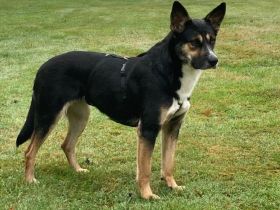 Alma, Powerfrau sucht sportliche Familie