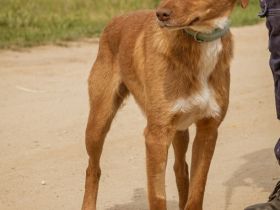 Merida sucht einfühlsame und verständnisvolle Menschen