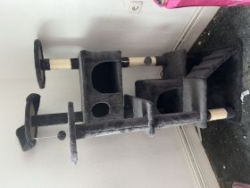 Babykatze „Nala“