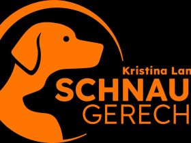 Mobiles Hundetraining / Verhaltensberatung in Lübz und Umgebung