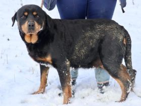 Einfühlsame & menschenbezoge Grete sucht Ihren Altersruhesitz.