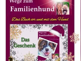 Welpe, Junghund, erwachsener Hund: Buchtipp zu Weihnachten: Wege zum Familienhund