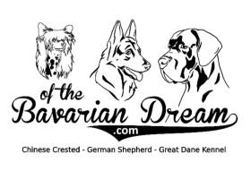 of the Bavarain Dream